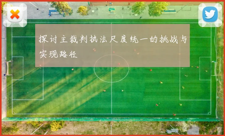 探讨主裁判执法尺度统一的挑战与实现路径